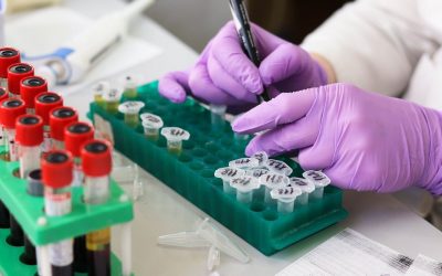 laboratory, medical, medicine-3827745.jpg